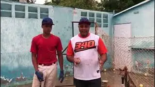 #Drilldebateo#clachelsequi#mlbbaseball