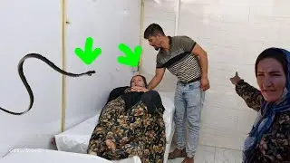 Viewers' request to Nazanin to find Narges and Nazanin was bitten by a snake