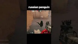 cs2 is different🤣🤣 #cs2 #cs2memes