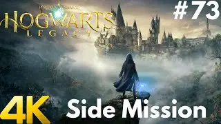 HOGWARTS LEGACY 4K PC Gameplay Walkthrough #73 - Side Quest : Minding Your Own Business Part 2 (DLC)