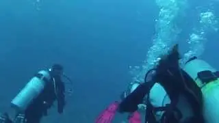 Погружение на Тиссельгорм