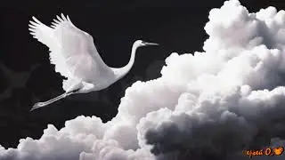 МАЛИНАДА - БЕЛЫЕ ЖУРАВЛИ