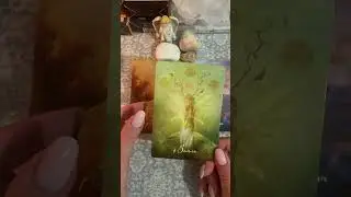 НЕ ПРОПУСТИТЕ!!! ВАМ ПОСЛАНИЕ ОТ ВЫСШИХ СИЛ!!!