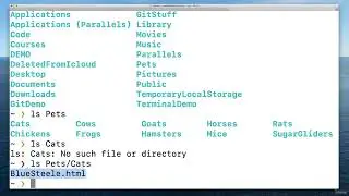 008 Terminal Crash Course Navigation