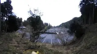 Miidera cemetery