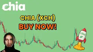 Chia (XCH) at $2 — Gift or Disaster? My Honest Take