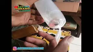 Unboxing ikan cupang part ke 2