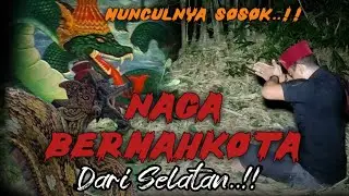 THE APPEARANCE OF A DRAGON‼️ CROWNED FROM THE SOUTH