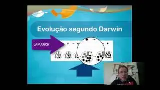 03 BIOLOGIA EVOLUÇÃO