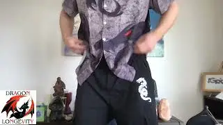 Dragon Style