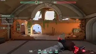 VALORANT Alt + Tab freeze issue please help