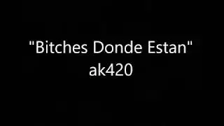 bitches donde estan letra ak420