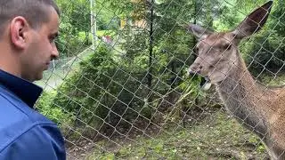 Карпати 04.07.2020