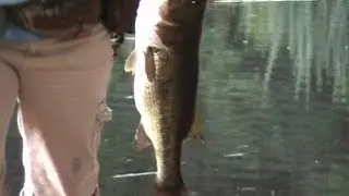 Debbie's Big Catch 3 