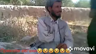 Приколи авгони😆😆😀😀