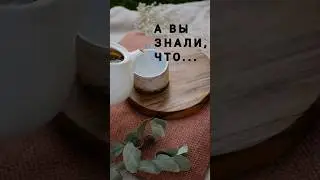 А вы знали, что... Miss AJ