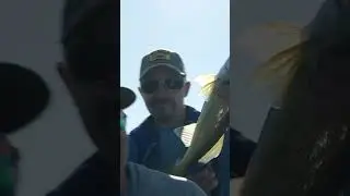 Fishing tournament trick #fishing #fishingtournament #trick