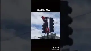 Spider-Man Dance