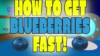 HOW TO GET BLUEBERRIES FAST! | Roblox Bee Swarm Simulator