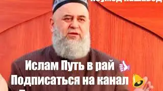 Хочи Мирзо  Ноумед Нашавед