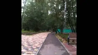IMG 0982