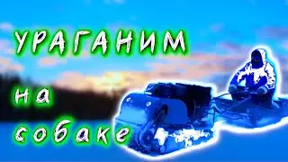 Реальный тест скорости! Покатушки на мотобуксровщике! Рыбалка и туризм в Карелии.