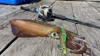 Jetty Fishing For Squid In CRAZY WIND!!