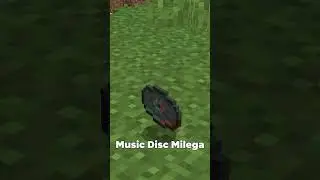 There Is A New Rarest Music Disc...