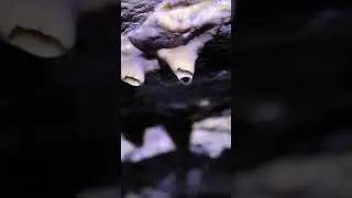 Татарстан – регион с захватывающей природой. #россия #татарстан #история #природа