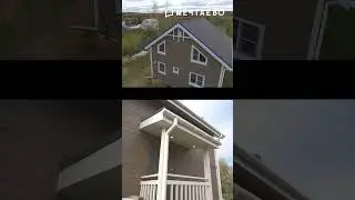 Каркасный дом и с ним лабрадор