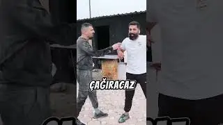 Kaktüse oturursanız ne olur?