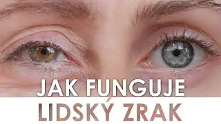 🔮 Jak fungují naše oči 👀 | Lidský zrak 👁️