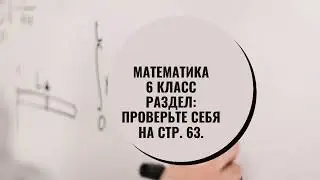 Математика. 6 класс. Раздел "Проверьте себя" на стр 63 (Н.Я. Виленкин)