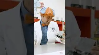 Blippi Constrói um Robô! | Blippi Shorts em Português | #shorts #blippi #STEM