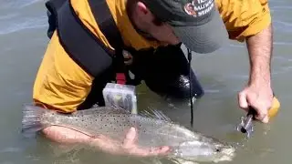 Winter Fishing the Middle/Upper Texas Coast for Trout and Redfish