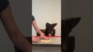 4-Ingredient Pizza for Dogs
