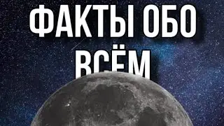 ФАКТЫ ОБО ВСЁМ