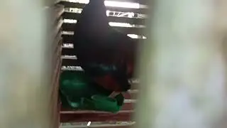 Ayam Jago dalam Kandang