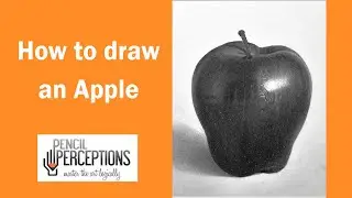 Realistic Apple Drawing Tutorial | Best Step-by-Step Pencil Guide | Pencil Perception Academy