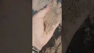 6 августа в Заостровье. Вода теплая.