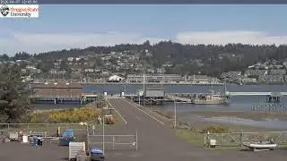 Oregon State University Ship Operations - Pier Construction