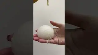 Спонж конняку для очищения кожи