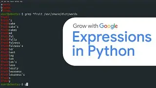 Regular Expressions in Python | Google IT Automation with Python Certificate