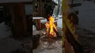 УШЁЛ В ЛЕС И НЕ ВЕРНУЛСЯ !!! Сердцем , навсегда там ❤️ 