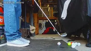another groundhog chipping practice