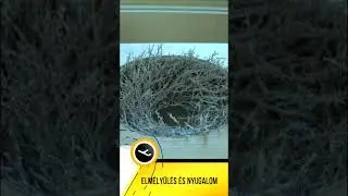 Járatjelentés - Augusztus 26.