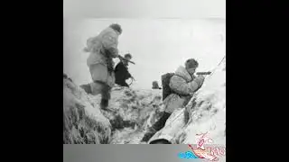 О. Берггольц "Памяти защитников" Читает Наталья Бурдина