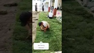gazon ekish usullari #automobile #youtubeshorts #instagram #video #gazon