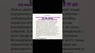 3 августа 2024 г.