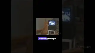 Devastating 20Punch